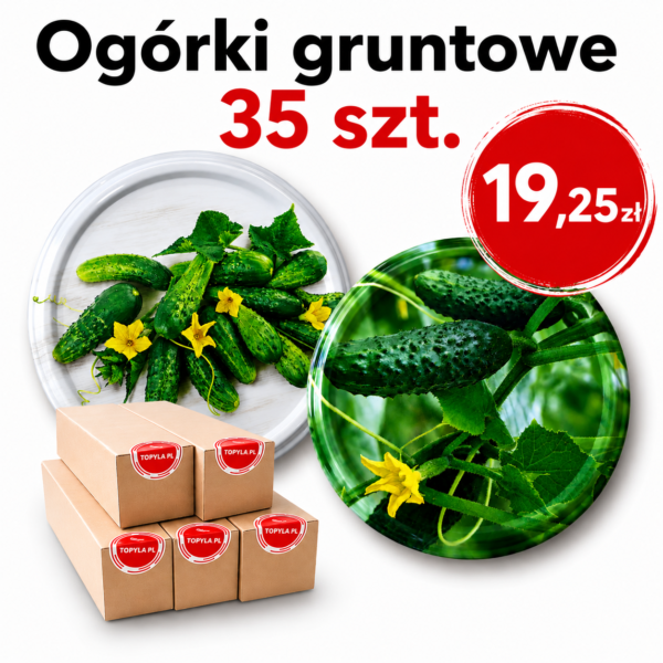 Zakrętki ogórki mix